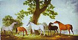 George Stubbs Mares by an Oak-Tree painting